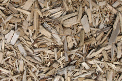 biomass boilers Caneheath