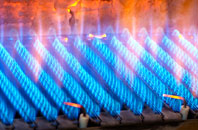 Caneheath gas fired boilers